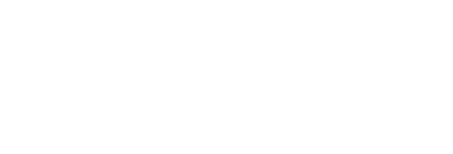 SouthTech